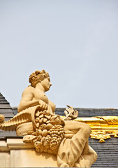 Fototapeta na wymiar sculpture at Versailles palace near Paris, France