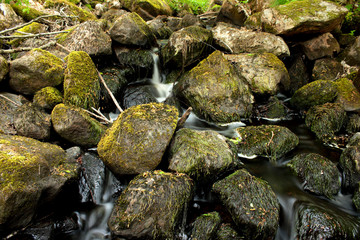 A stream in the nature