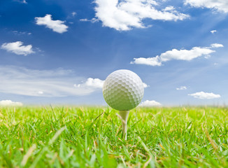 golf ball and tee grass