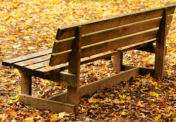 bench in the park in autumn