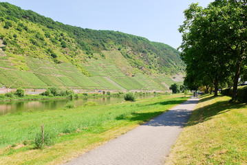 Fototapeta na wymiar promenade along Moselle river
