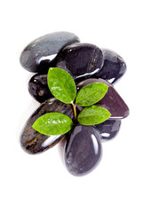 leaf and basalt stones on the white background