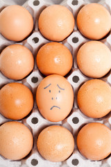 twelve eggs in a package, emotion