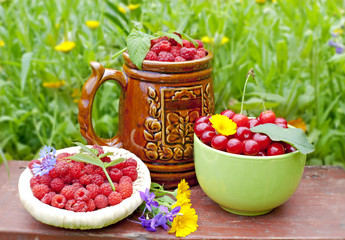 Raspberry and cherry blossoms against a background of flower bed