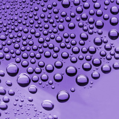 Water Drops( Purple color)
