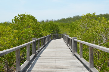 Boardwalk to the ocean