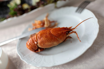 Plate with boiled crawfish