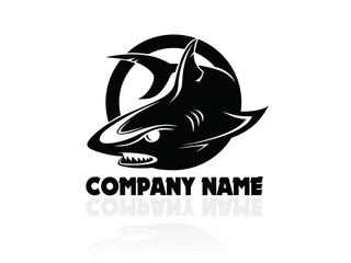 The vector Shark logo