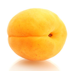 Naklejka na ściany i meble ripe sweet apricot isolated on white