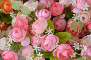 The background of the beautiful flowers in colorful