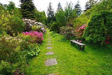 Beautiful, English garden in springtime