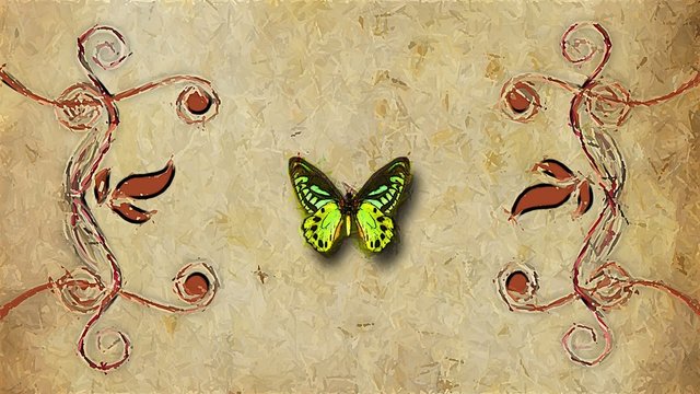 animated decorative painting background  flying butterfly