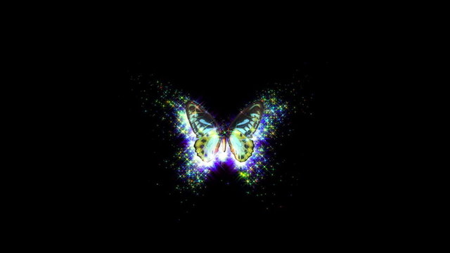 animated decorative butterfly background