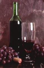 Fruits and Wine