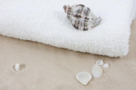 shell and towel on the beach in sand
