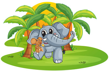 elephant and mouse