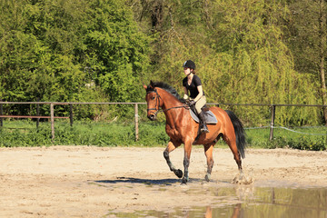 beautiful equestrienne on brown horse in summer