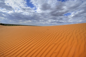 Kalahari desert landscape ~ wind rippled dune