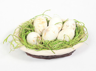 goose eggs of biological farm on white background