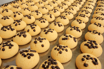 Cookie