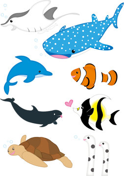 359 Best ジンベエザメ Images Stock Photos Vectors Adobe Stock