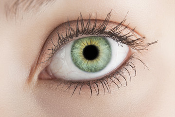 Macro photo of a female eye