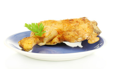 roasted chicken leg with parsley in the plate isolated on white
