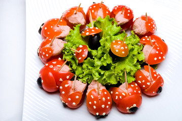 Lady Beetle food 2