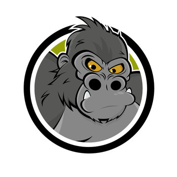gorilla