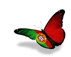 Portuguese flag butterfly flying, isolated on white background
