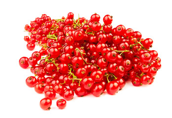 red currant