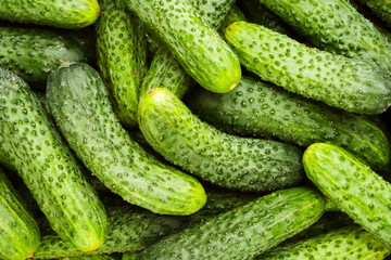cucumbers many
