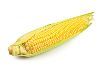 single corn