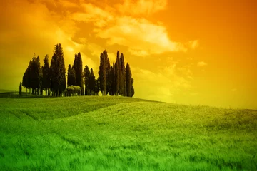 Poster Typisch landschap in Toscane © JRP Studio