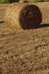 do not trust all of the hay bales