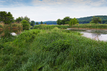 Остров на реке
