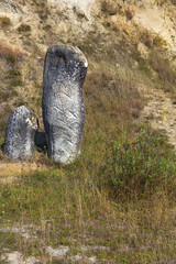 Two standing up stones growing from sand , Costesti , Valcea