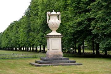 Obraz premium Kastanienallee im Pillnitzer Park