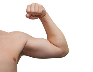 The male arm isolated on white background.