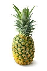 Pineapple on a white background