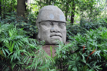 Olmec colossal head