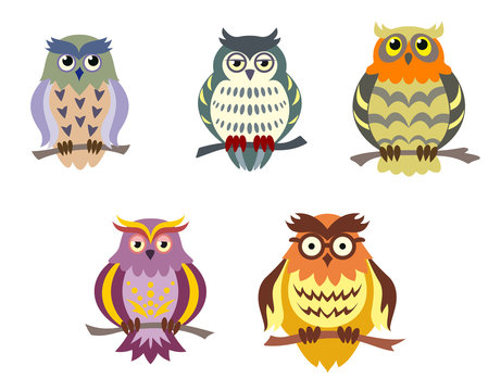 Color cartoon owls