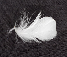 white feather