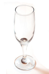 champagne glass clear isolated on white