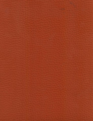 Fototapeta premium Leather background