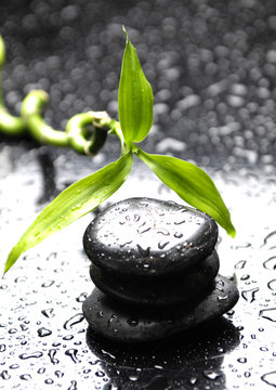 Still Life With Zen Stones With Green Bamboo In Water Drop