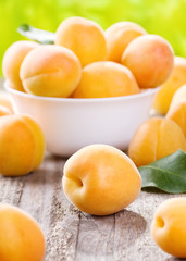 fresh apricots
