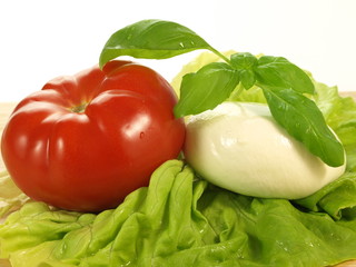 Caprese ingredients