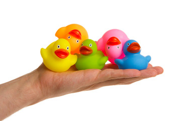 Rubber ducks isolated