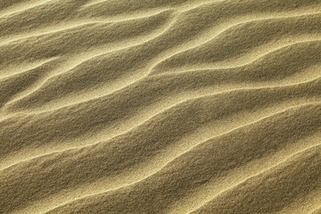 Fototapeta na wymiar Rippled sand